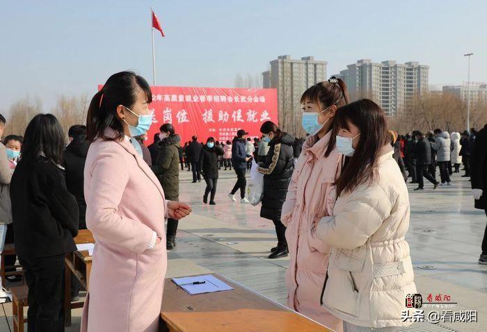 长武招聘市场最新动态，把握机遇共创未来——聚焦长武招聘市场年度报告（2017年）