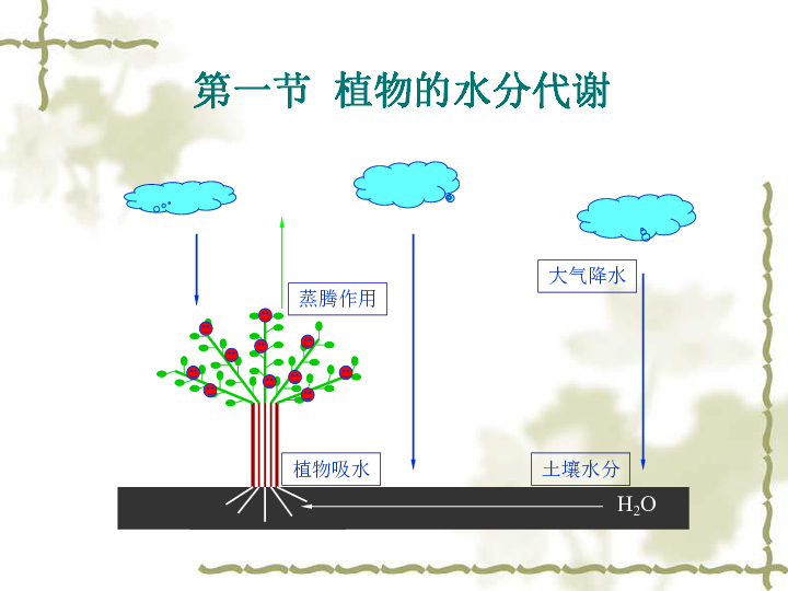 植物营养素探索，健康与营养的奥秘下载