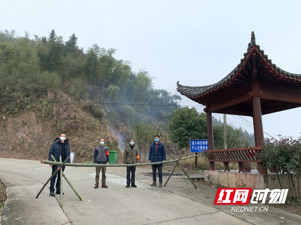 新邵县坪上镇最新动态与发展展望概览