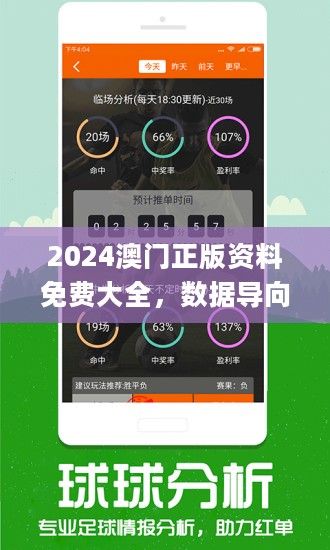 新澳门王中王100%期期中,实地计划验证策略_Device93.244