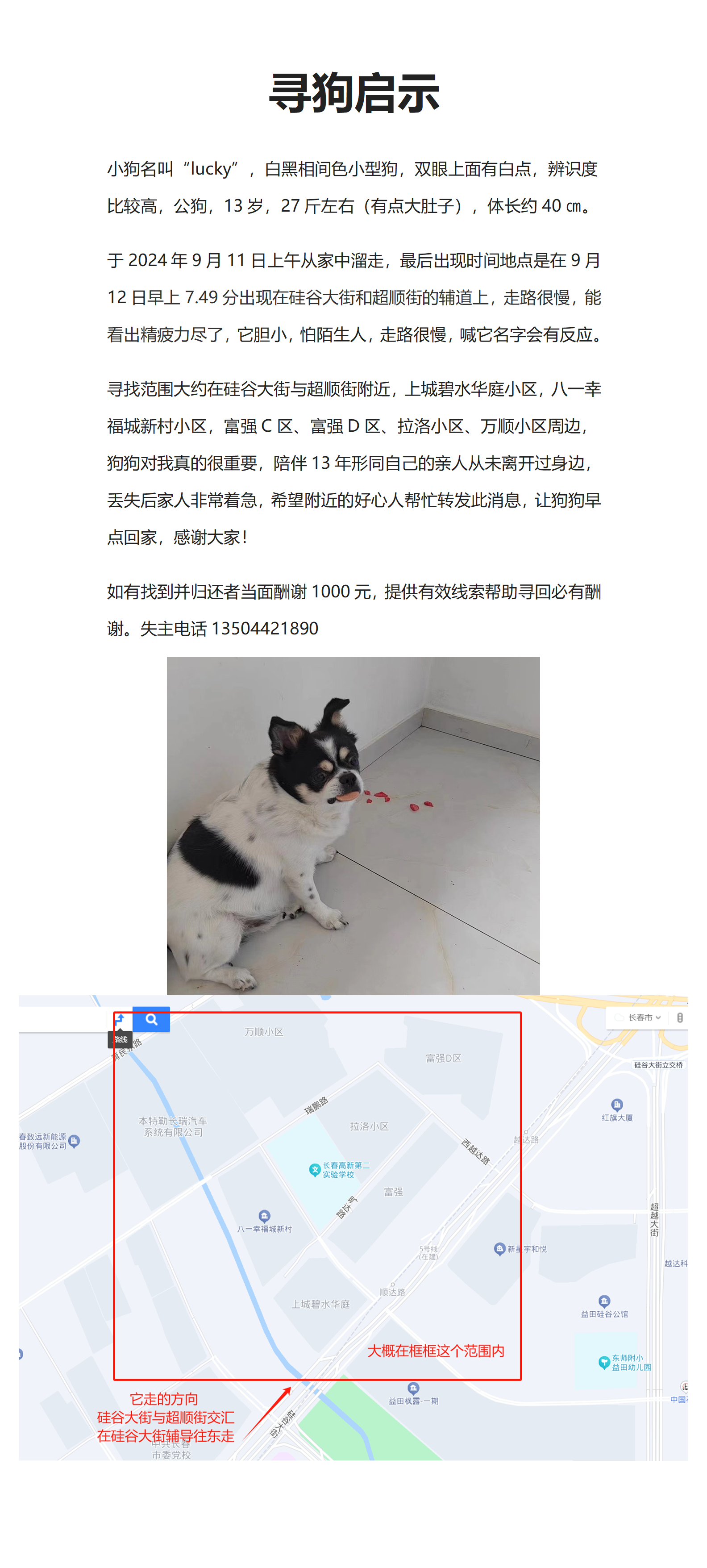 777778888精准跑狗,安全性方案设计_T91.900