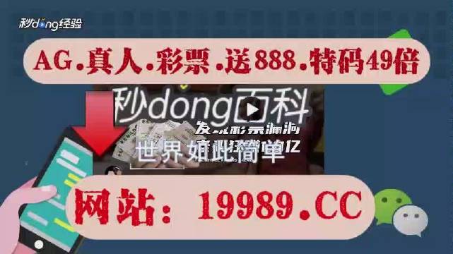 2024今晚新澳门开奖号码,动态解释词汇_BT72.856