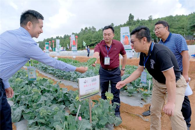 阳宗镇未来蓝图，最新规划引领城镇发展之路