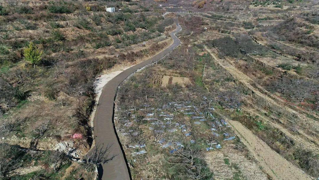 张格庄镇天气预报更新通知