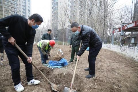 苹果园街道新任领导团队引领社区迈向新篇章