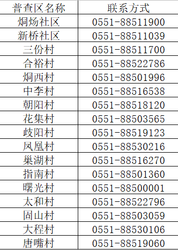 2024年12月11日 第31页