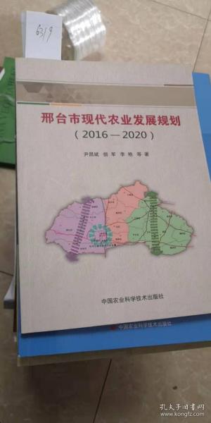 丛台区人民政府办公室最新发展规划概览