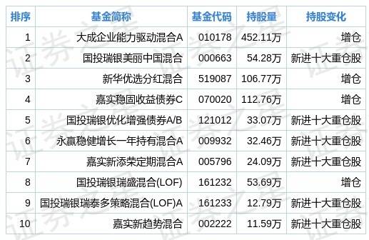 2024年新奥特开奖记录查询表,数据驱动执行决策_Notebook41.224