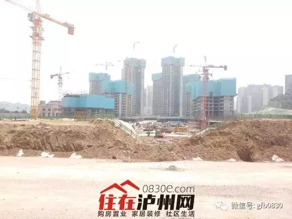 泸州市房产管理局最新项目概览与动态