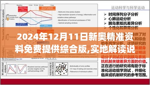 2024新奥正版资料最精准免费大全,高速响应策略解析_策略版78.190