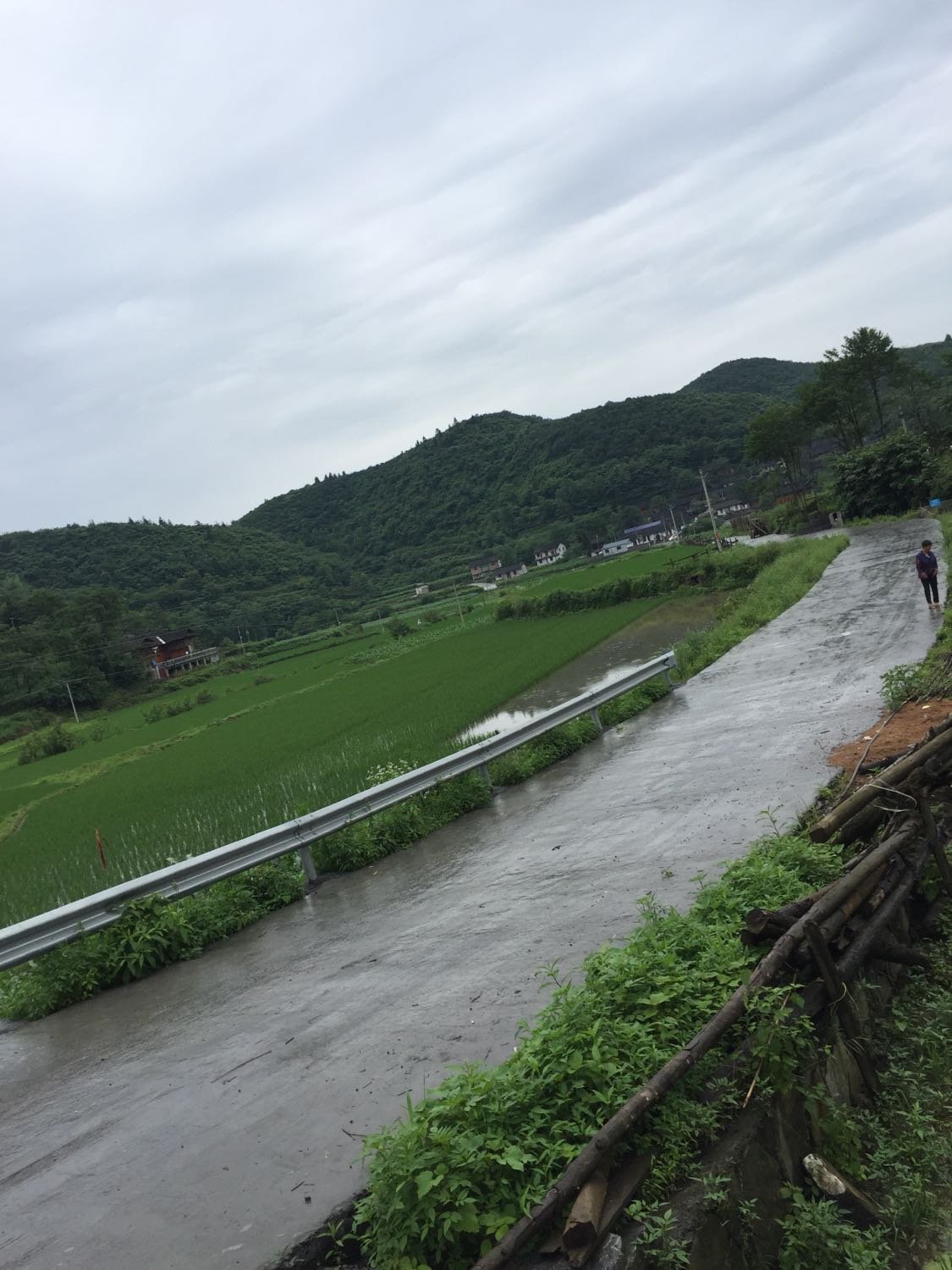 白地市镇天气预报更新通知