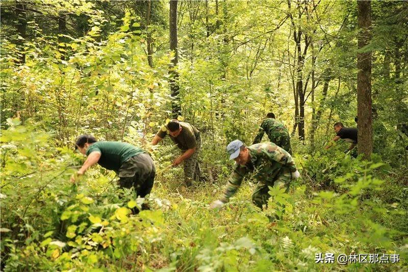 水源林场最新天气预报信息汇总