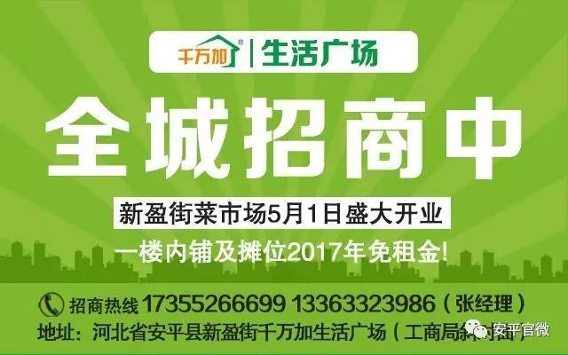 隆阳区人力资源和社会保障局最新招聘信息全面解析