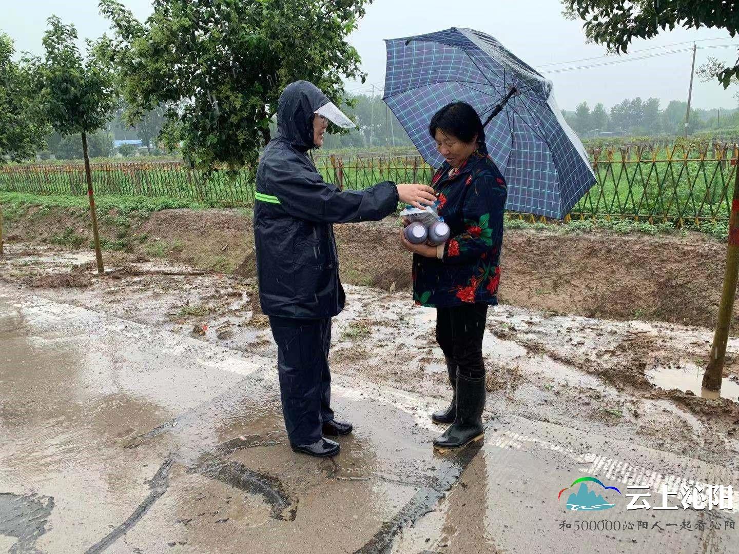 沁阳市自然资源和规划局发布最新新闻动态