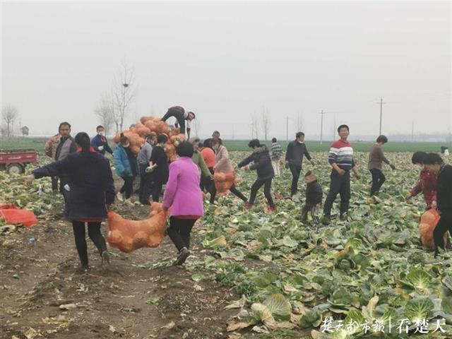 江岸区公路运输管理事业单位领导团队简介