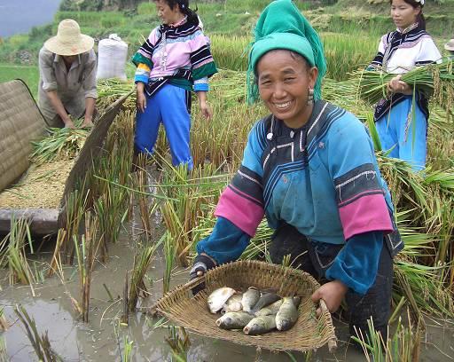 牧野区农业农村局最新动态报道