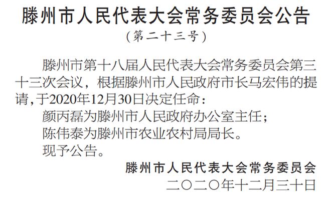 襄阳区级托养福利事业单位人事任命揭晓及其深远影响